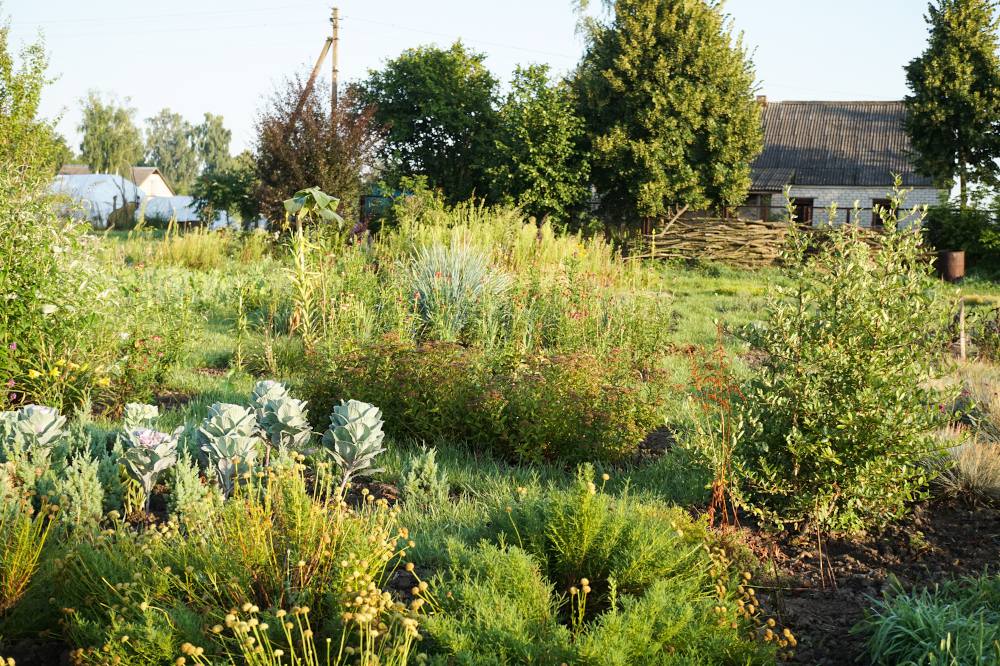 Jardiner Malin : le Jardin et la Maison