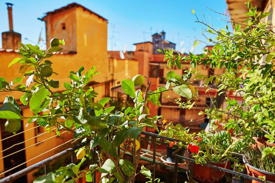 Jardiner Malin : le Jardin et la Maison