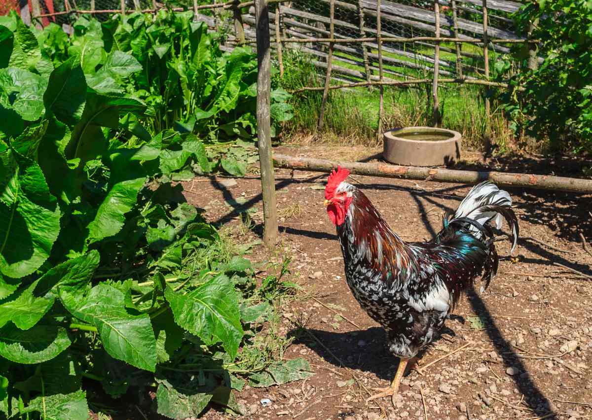 Jardiner Malin : Plantes et Jardin, Potager et Recettes