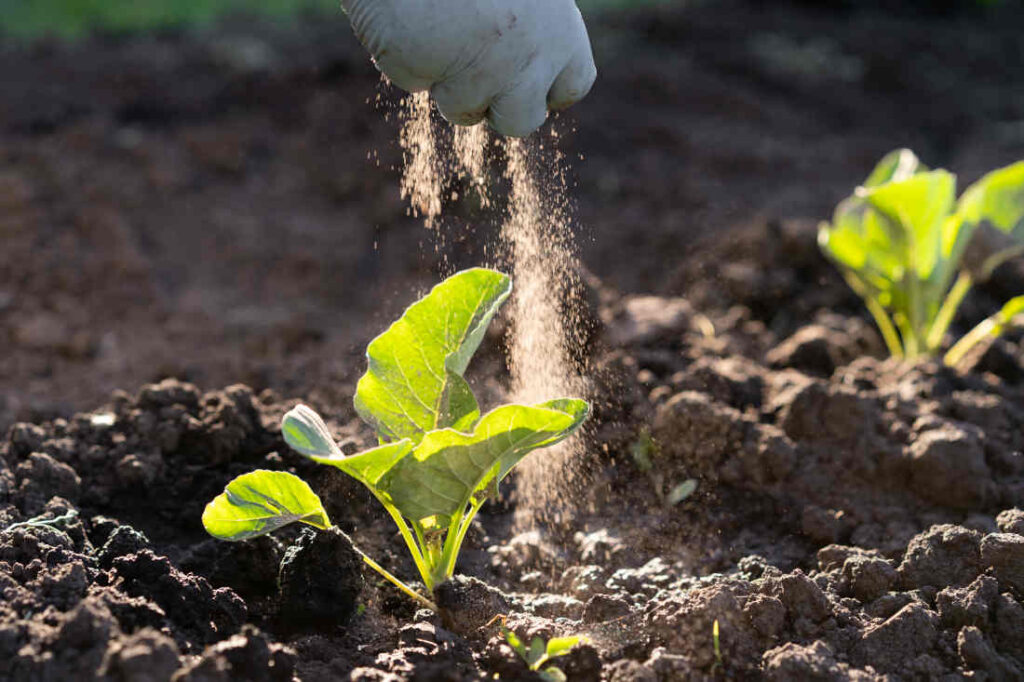 Jardiner Malin : Plantes et Jardin, Potager et Jardinerie en ligne